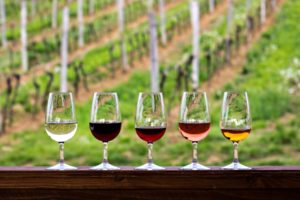 a row of wine glasses