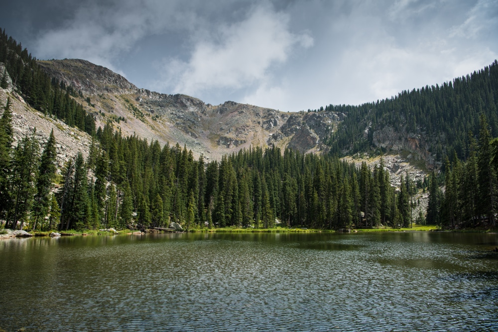 Santa Fe fly fishing