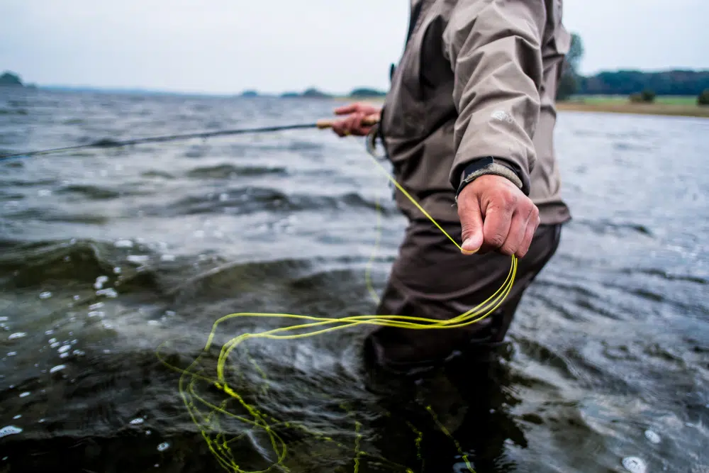 Santa Fe Fly Fishing